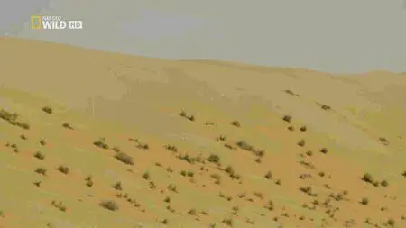 National Geographic - Wildest Middle East (2017)