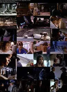 Edge of the Axe (1988)