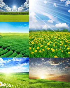 Amazing SS | Green Fields