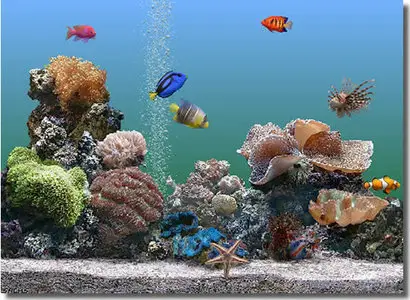 SereneScreen Marine Aquarium 3.0 Beta Portable Screensaver