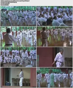 Shotokan Masters ISKF Master Camp Training