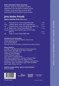 Pieter-Jan Belder, Musica Amphion, Gesualdo Consort Amsterdam - Bach in context: Jesu meine Freude (2013)