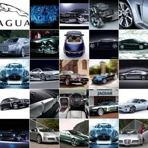 Jaguar (HQ Fotos)