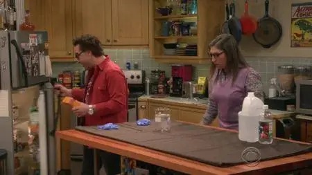 The Big Bang Theory S11E13