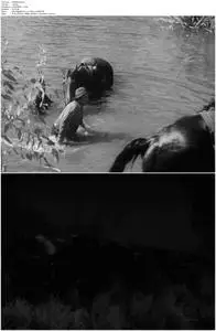 The Overlanders (1946)
