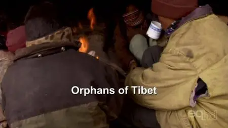 Arte - Orphans of Tibet (2010)