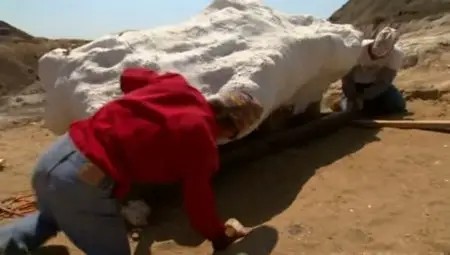 (Fr5) Autopsie d'un dinosaure (2011)