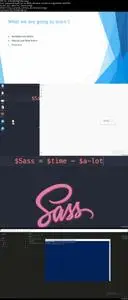 Web Development Series: The Definitive Guide to Sass