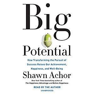 Big Potential: How Transforming the Pursuit of Success Raises Our Achievement, Happiness, and Well-Being [Audiobook]