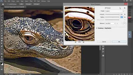 Introducing Photoshop: Photography [repost]