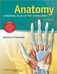 Anatomy: A Regional Atlas of the Human Body  [Repost]