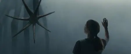 Arrival (2016)