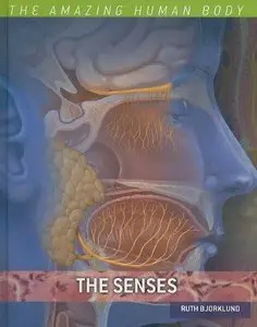 The Senses (Amazing Human Body) (Repost)