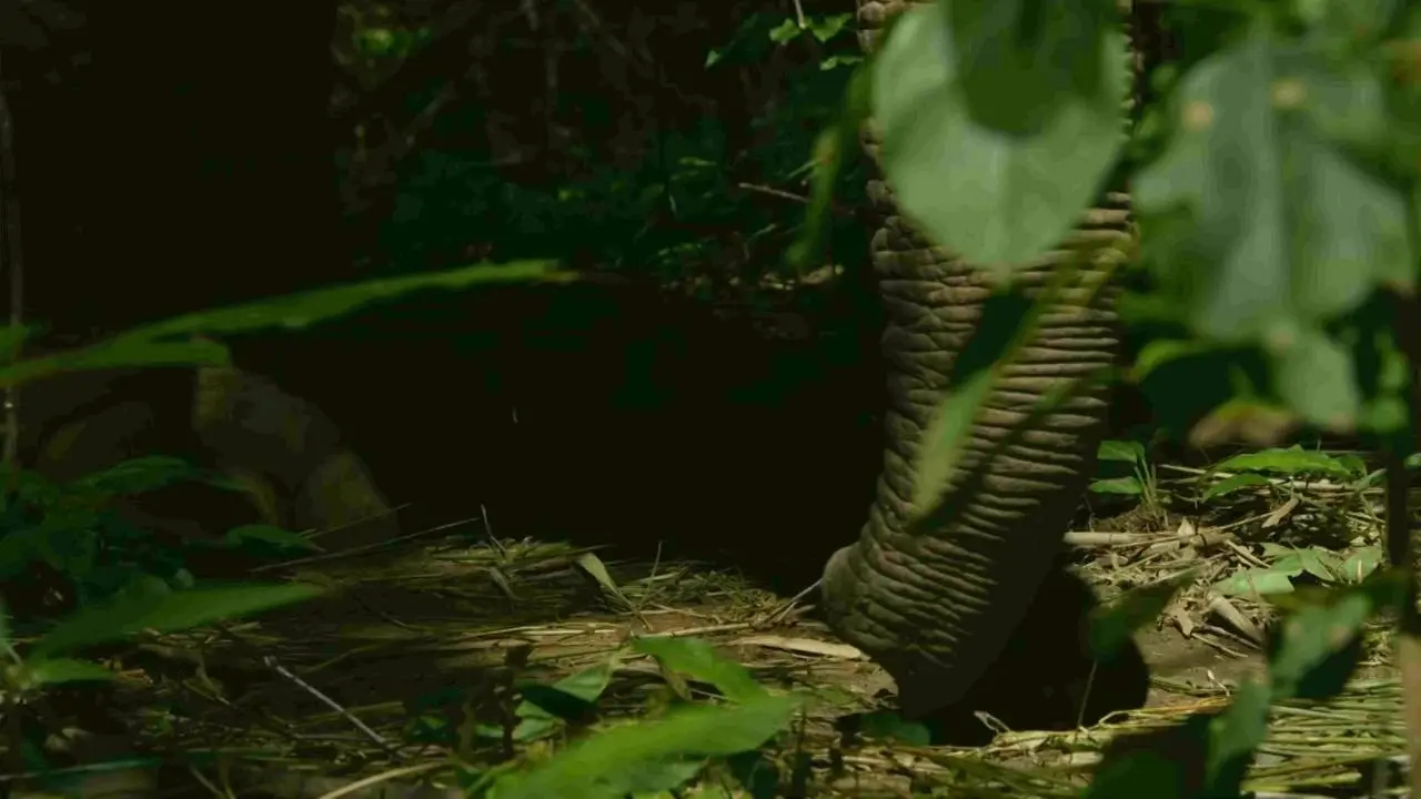 BBC - Thailand - Earth's Tropical Paradise E02: The Central Heartland (2017)
