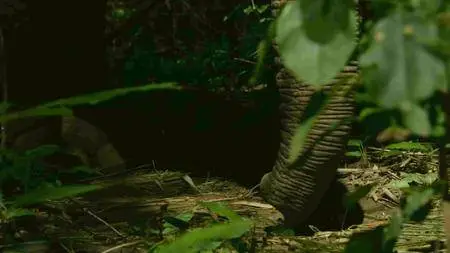 BBC - Thailand - Earth's Tropical Paradise E02: The Central Heartland (2017)