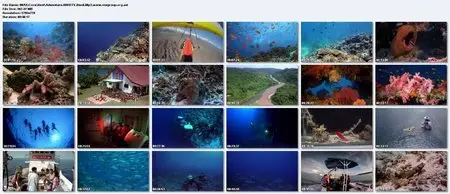 IMAX - Coral Reef Adventure