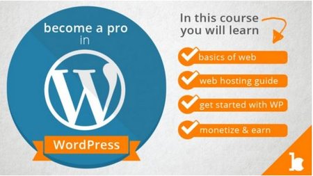 The Perfect Guide to become a Pro in WordPress