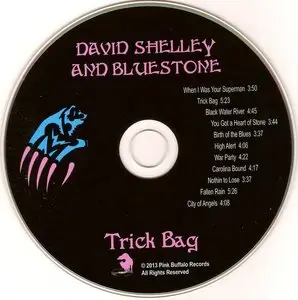 David Shelley & Bluestone - Trick Bag (2013)