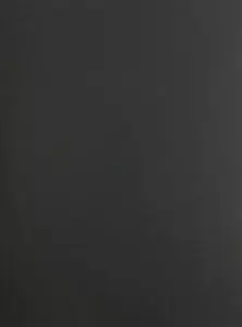 The Evolution of Primate Societies