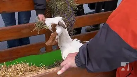 Where's My Goat? (2010)