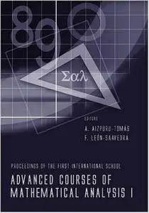Advanced Courses of Mathematical Analysis I - Proceedings of the First International School (No. 1) [Repost]