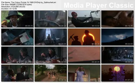 (Steven SPIELBERG) The Color Purple [DVDrip] 1985 Re-post