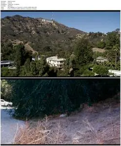 City of Angels, City of Death (2021)