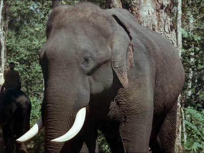 Chyornaya Gora / Black Mountain (1972)