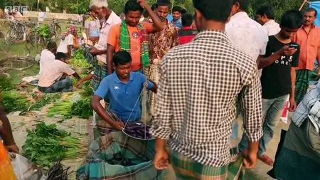 BBC - Panorama: GM Food - Cultivating Fear (2015)