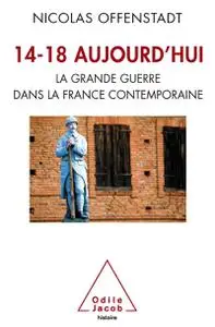 Nicolas Offenstadt, "14-18 aujourd'hui : La Grande Guerre dans la France contemporaine"