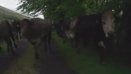 Kate Humble: Off the Beaten Track S01E02