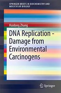 DNA Replication - Damage from Environmental Carcinogens (Repost)