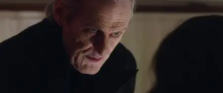 In Fabric (2018)