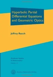 Hyperbolic Partial Differential Equations and Geometric Optics