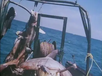 Mako: The Jaws of Death (1976)