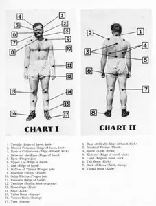 Combat Judo