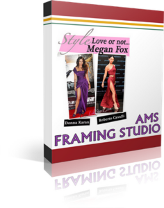 AMS Framing Studio 3.41