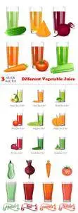 Vectors - Different Vegetable Juice