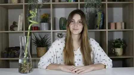 Intro To Biophilic Design