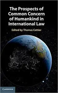 The Prospects of Common Concern of Humankind in International Law