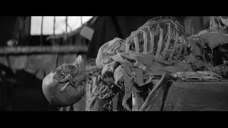 Rekopis znaleziony w Saragossie / The Saragossa Manuscript (1965)