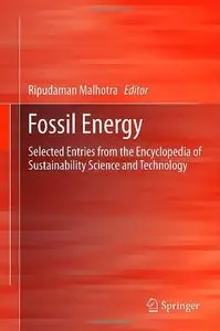 Fossil Energy: Selected Entries from the Encyclopedia of Sustainability Science and Technology (repost)