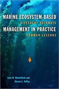 Marine Ecosystem-Based Management in Practice: Different Pathways, Common Lessons