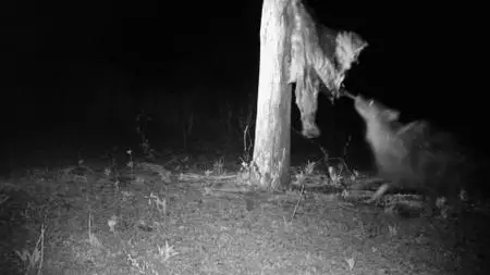 Extinct or Alive S02E03