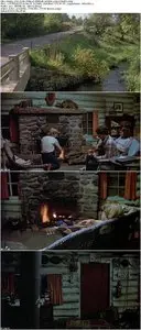 Friday the 13th (1980)