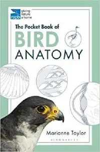 Pocket Book Of Bird Anatomy