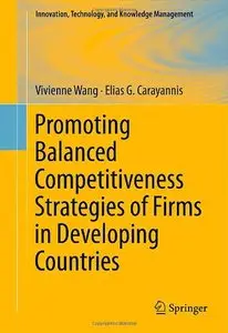 Promoting Balanced Competitiveness Strategies of Firms in Developing Countries (Repost)