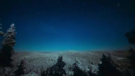 Earth at Night in Color S01E04