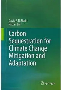 Carbon Sequestration for Climate Change Mitigation and Adaptation [Repost]