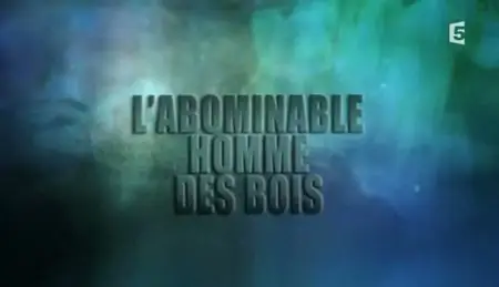 (Fr5) L'abominable homme des bois (2011)